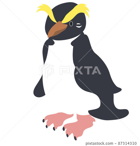 Fiordland penguin facing left 87314310