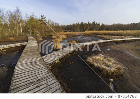 Nature reserve Soos, Western Bohemia, Czech Republic 87314768