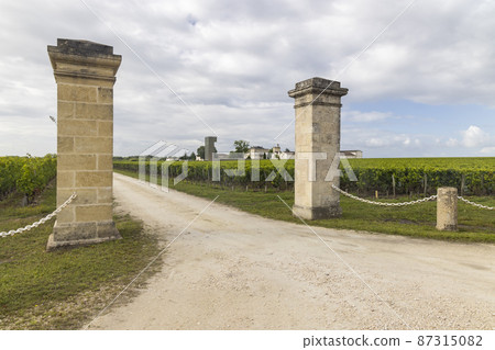 Typical vineyards near Saint-Julien-Beychevelle, Bordeaux, Aquitaine, France 87315082