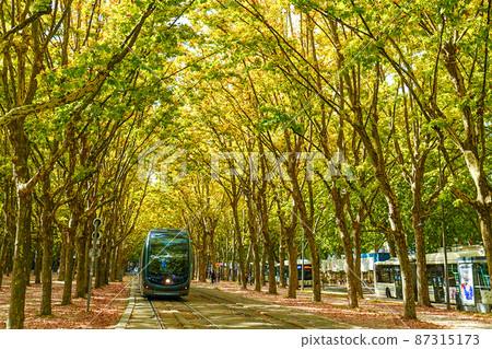 Tram running in a wooden tunnel (Bordeaux, France) 87315173