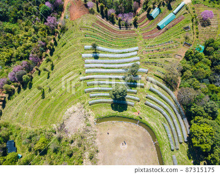 Aerial view of highland research and development of higher agriculture project in Chiang Rai province, Thailand. 87315175