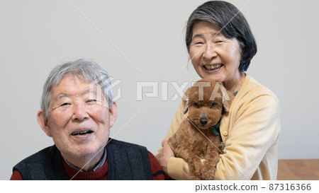 An elderly couple smiling at the camera while holding their dog's toy poodle An elderly couple smiling at the camera while holding their dog's toy poodle 87316366