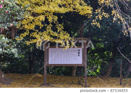 大銀杏新北信息標牌 大銀杏新北信息標牌 87316855