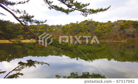 再次二田美公園池塘 再次二田美公園池塘 87317092