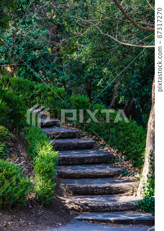 Rural landscape with old staircase Rural landscape with old staircase 87317270