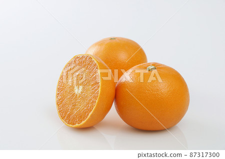 Seto fruit 87317300