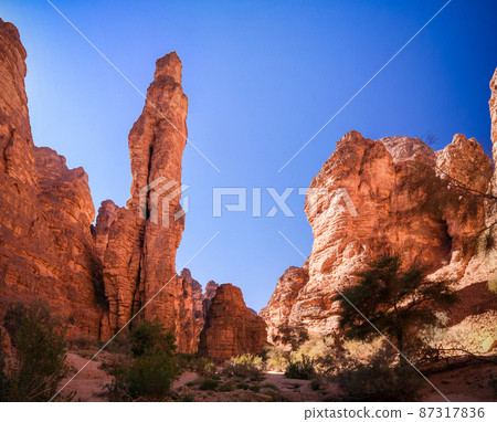 Bizzare rock formation at Essendilene, Tassili nAjjer national park, Algeria 87317836