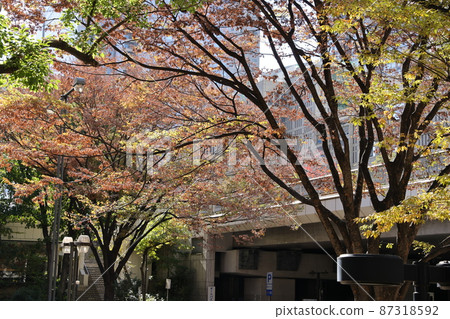 東京新宿區新宿副中心的秋葉 87318592