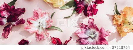 Bunch of Parrot Style Tulips Bunch of Parrot Style Tulips 87318794