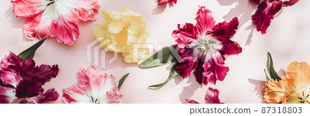 Bunch of Parrot Style Tulips Bunch of Parrot Style Tulips 87318803