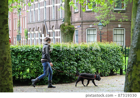 Leeuwarden's lush walking road Leeuwarden's lush walking road 87319330