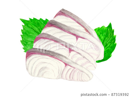 Watercolor illustration of amberjack sashimi on perilla Watercolor illustration of amberjack sashimi on perilla 87319392