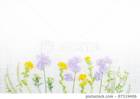 春花圍合、框飾 春花圍合、框飾 87319406