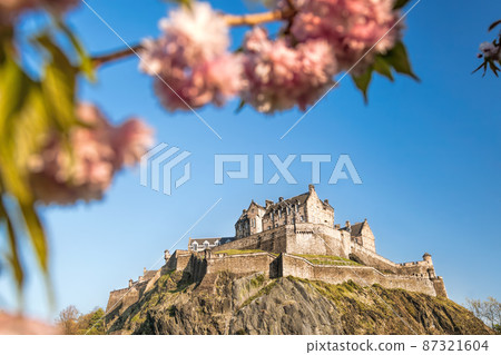Edinburgh castle against blue sky with flowering tree during springtime in Scotland Edinburgh castle against blue sky with flowering tree during springtime in Scotland 87321604