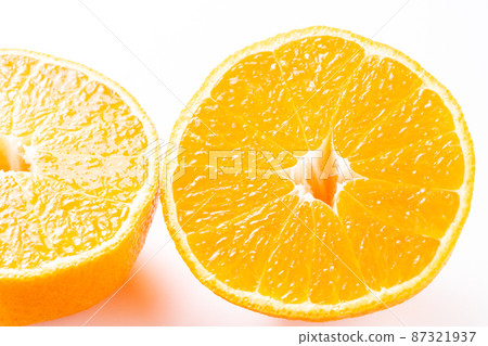 Cross section of Shiranuhi. (White background) 87321937