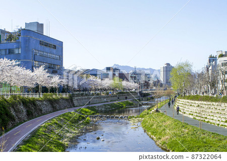 Seongbukcheon Stream Promenade in Springtime Seongbukcheon Stream Promenade in Springtime 87322064