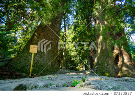 Kumano Kodo Daimonzaka 87323857