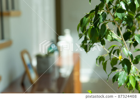Interior Interior 87324408