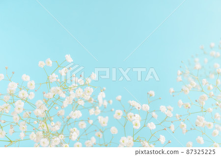 滿天星淺藍色背景 87325225