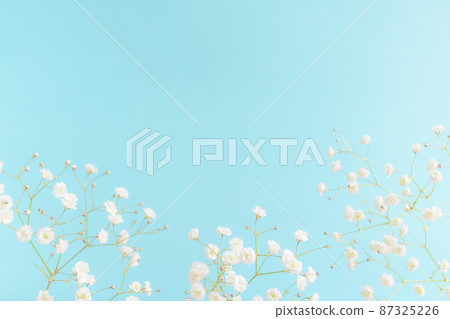 滿天星淺藍色背景 87325226
