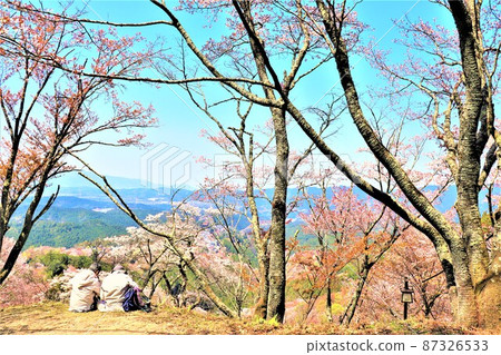 奈良縣吉野市春天的風景 奈良縣吉野市春天的風景 87326533