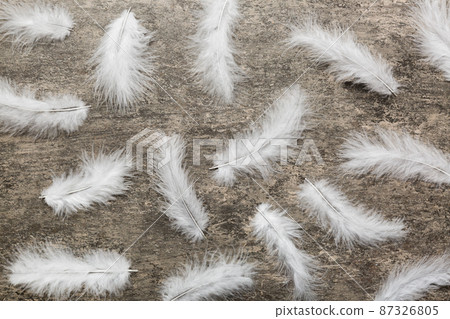 Close up to bright colorful feathers background. Colored feather background, top view 87326805