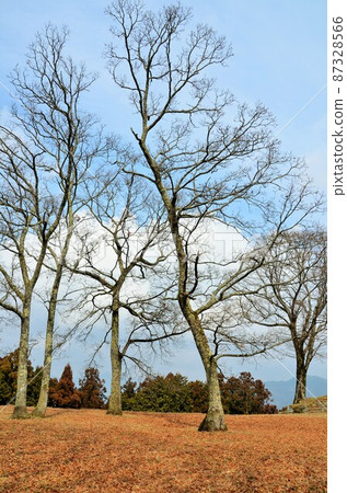 Uda Matsuyama Castle Ruins Honmaru Ruins Uda Matsuyama Castle Ruins Honmaru Ruins 87328566