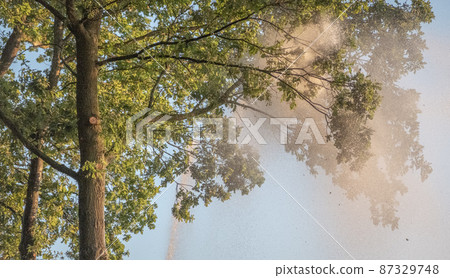 irrigation farm fields sunset hot air balloon water trees irrigation farm fields sunset hot air balloon water trees 87329748