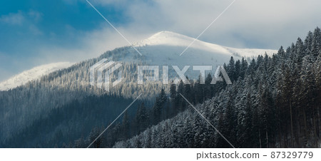 Snowy forest on the background of the mountain. Synevir nature reserve Snowy forest on the background of the mountain. Synevir nature reserve 87329779