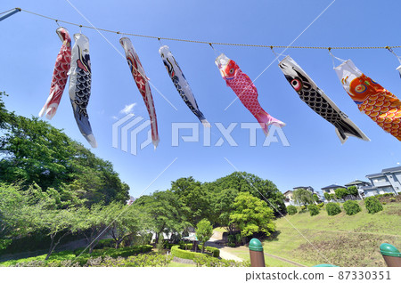 Kanigasawa公園的鯉魚旗 Kanigasawa公園的鯉魚旗 87330351