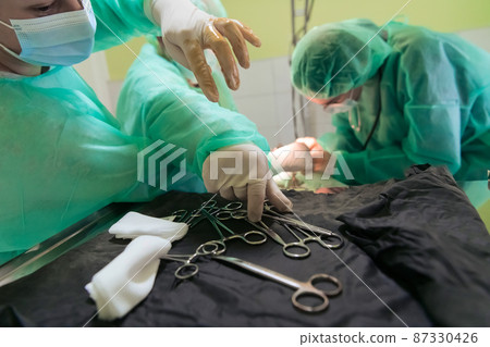 Real abdominal surgery on a cat in a hospital setting 87330426