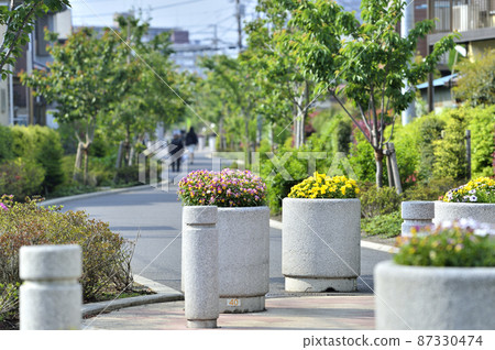 Sagamigaoka Nakayoshi Komichi Sakura Hyakuka no Michi no Sakura 87330474