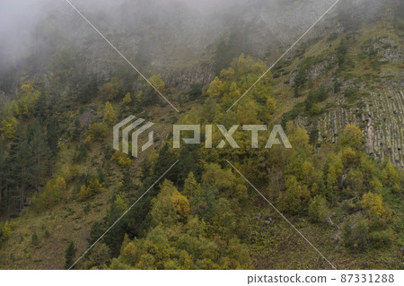 Misty foggy mountain landscape with fir forest and copyspace in vintage retro hipster style 87331288