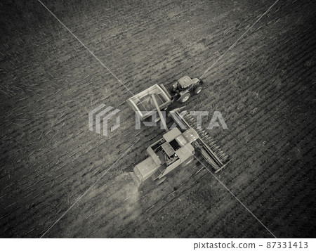 Sunflower harvest,Pampas, Patagonia, Argentina 87331413