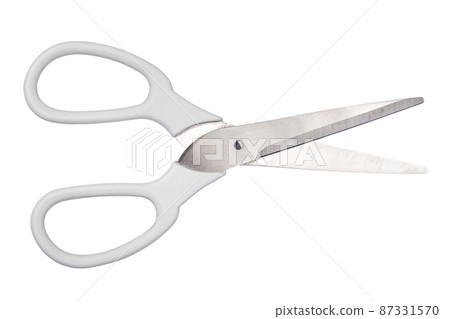 Kitchen scissor on white background 87331570