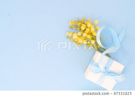 Mimosa flowers on blue background Mimosa flowers on blue background 87331825