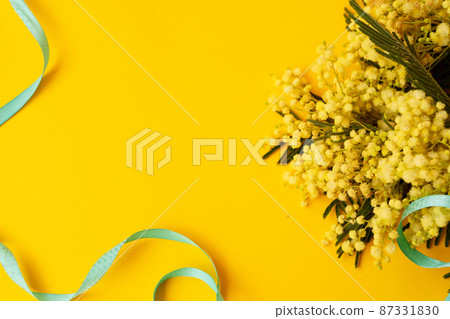 Mimosa fresh flowers 87331830