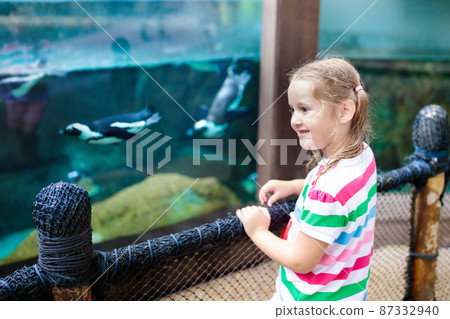 Kids watch penguin at zoo. Child at safari park. 87332940