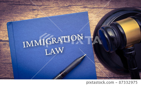 Immigration law book and gavel on a brown wooden table.  87332975