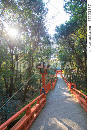 Usa Shrine 87333387