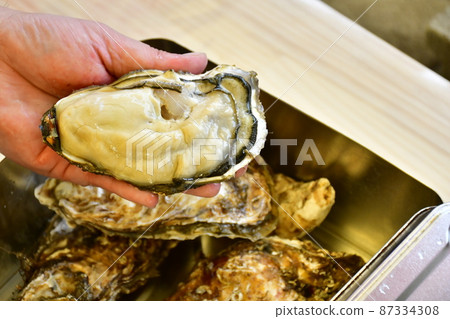 Raw oysters from Sanriku Raw oysters from Sanriku 87334308