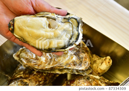 Raw oysters from Sanriku 87334309