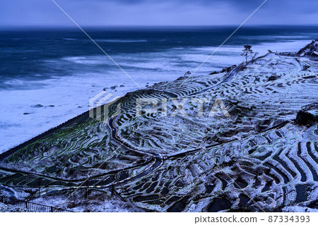 Illumination of white rice Sen Itta 87334393