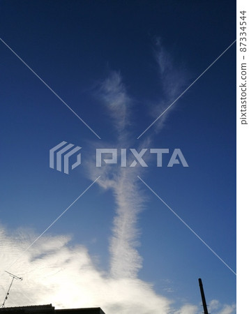 Shoryu and Shoryu 87334544