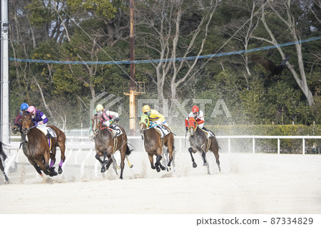 馬匹在賽馬的第 4 個角落追趕 2 馬匹在賽馬的第 4 個角落追趕 2 87334829