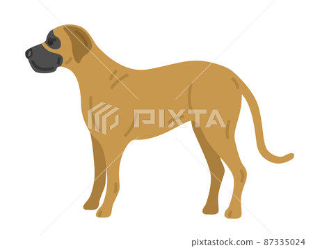 Great dane illustration 87335024