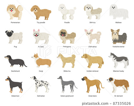 Illustration set of many kinds of dogs 87335026