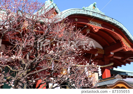 龜戶天神梅花節梅,龜戶,江東區,東京 龜戶天神梅花節梅,龜戶,江東區,東京 87335055