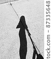 My shadow 87335648