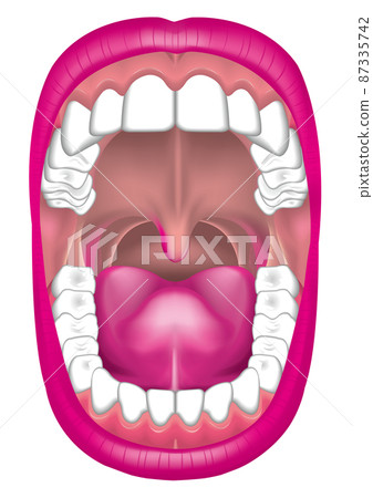 In the mouth 87335742